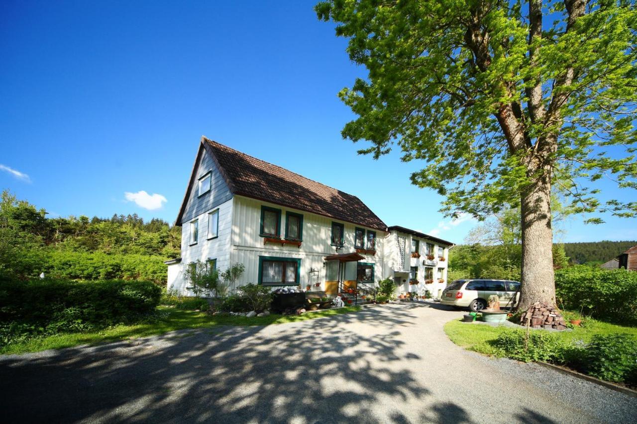 Haus Gruene Insel - Ferienwohnungen Altenau  Exterior photo